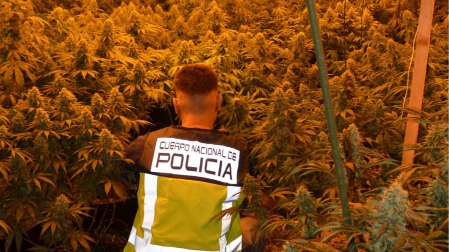 Detenidas 21 personas por venta de sustancias estupefacientes en la Región de Murcia