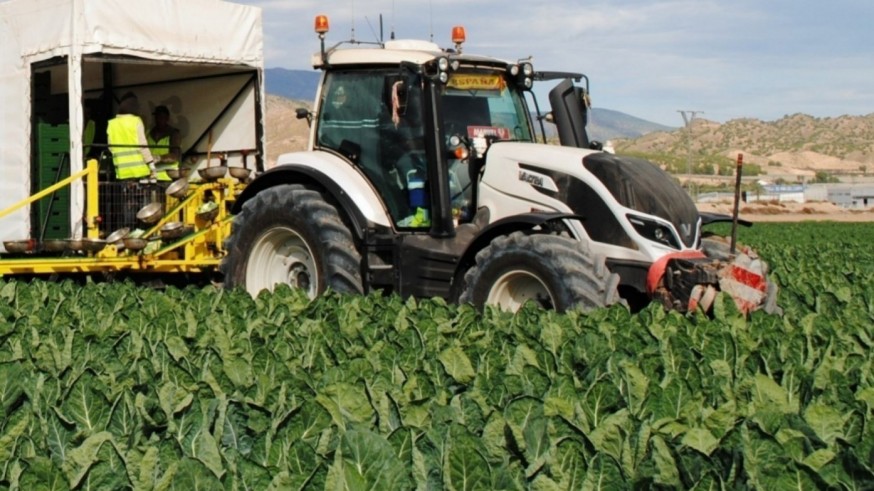 Explotación agrícola. ORM