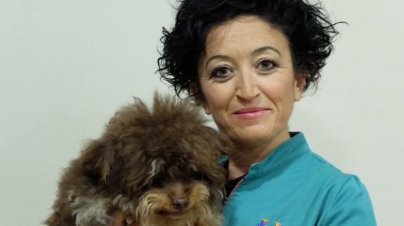 MURyCÍA. Veterinaria Rosa Sánchez. Fiebre en las mascotas