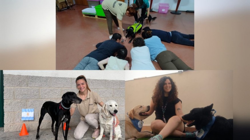 El poder sanador de los peludos: Las intervenciones asistidas por perros transforman la salud y la educación