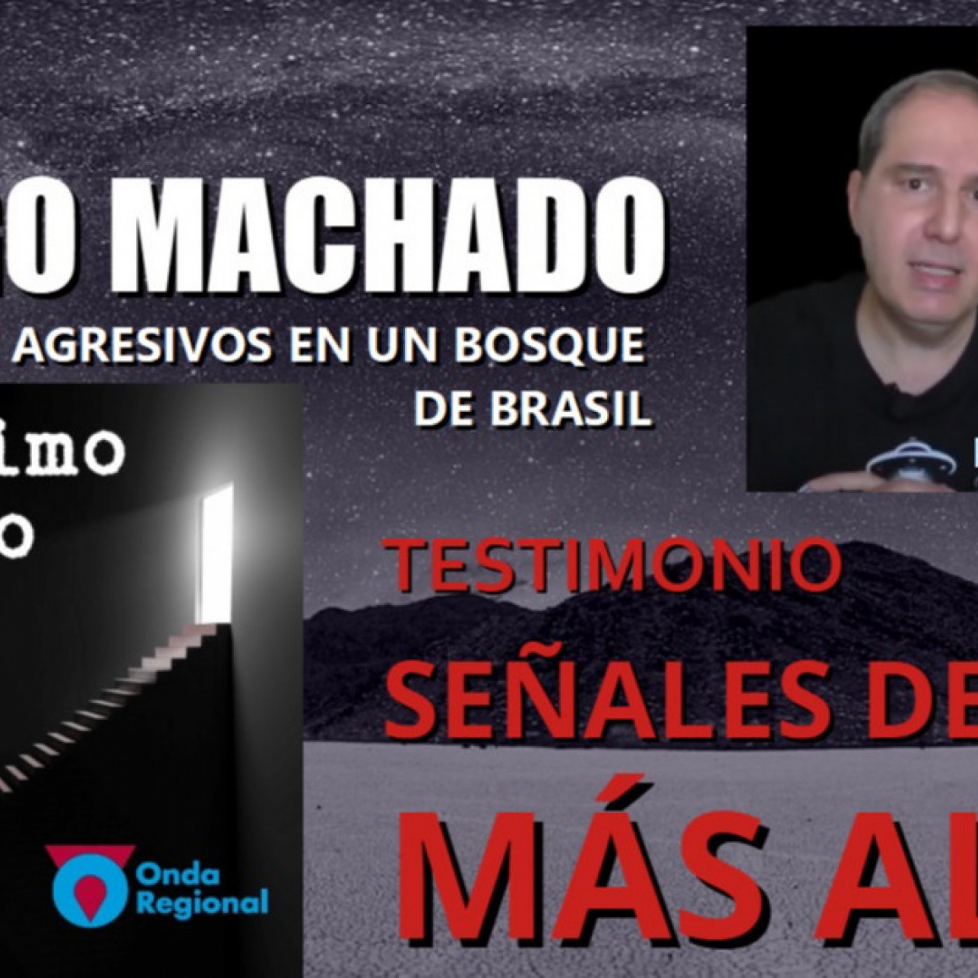 EL ÚLTIMO PELDAÑO