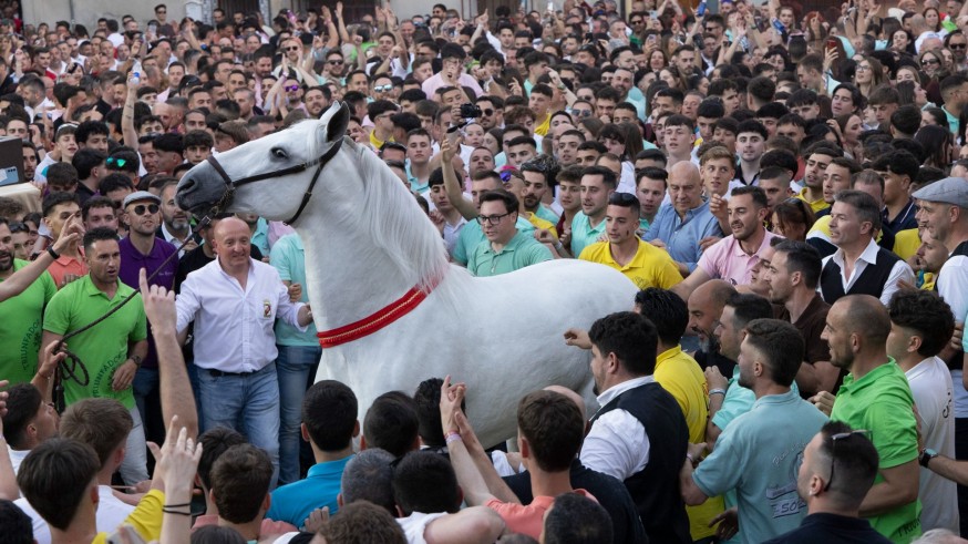 Hoy es el gran día de los Caballos del Vino de Caravaca