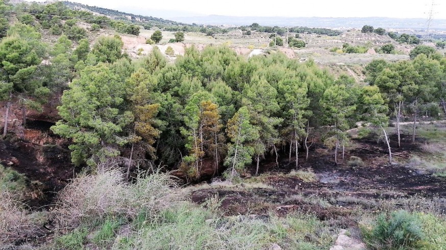 Arden cinco mil metros cuadrados de matorral en San José de la Montaña