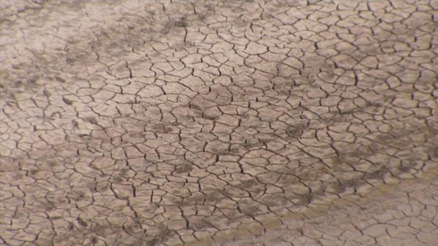 Organizaciones agrarias reclaman la convocatoria "urgente" de la Mesa de la Sequía