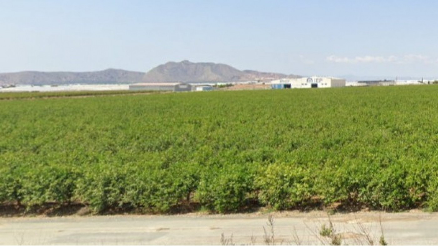 Marcha en San Javier contra la planta de biogás del Mirador