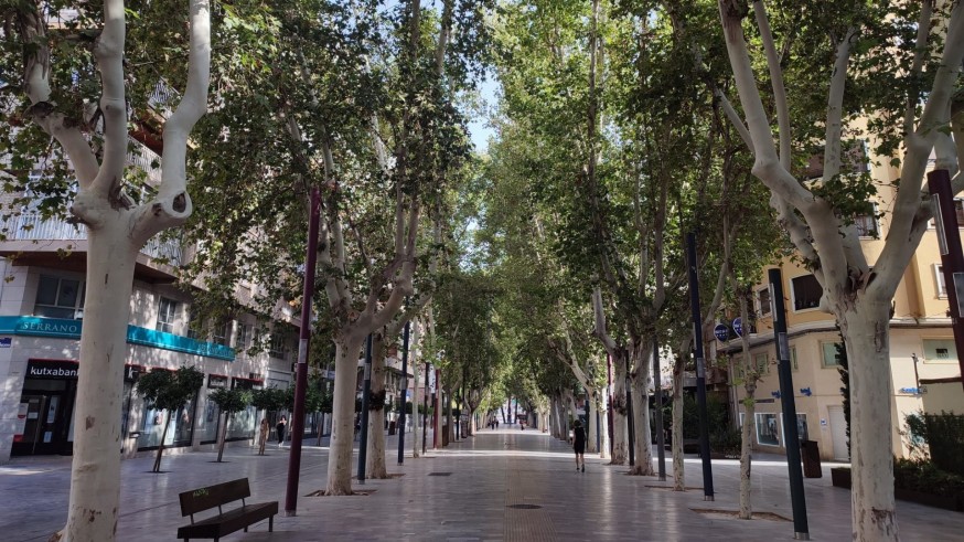 El Ayuntamiento de Murcia apuesta por los árboles