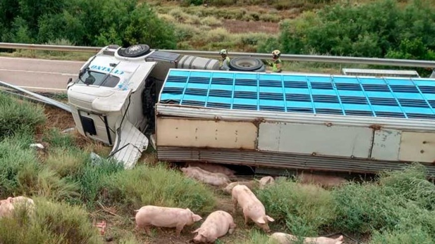 Herido al volcar el camión de transporte de cerdos que conducía en Lorca