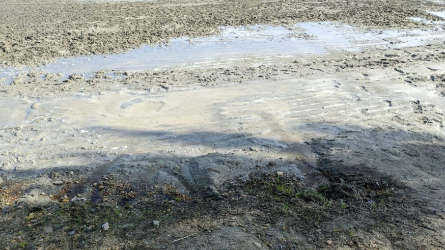 Denuncian un posible vertido de fosfatos y nitratos en una playa de Santiago de la Ribera