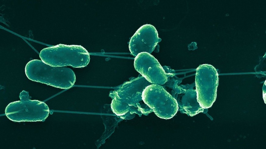  1.932 infecciones por bacterias en hospitales de la Región de enero a septiembre de 2025