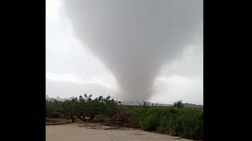 VÍDEO | Un tornado arranca pinos y almendros en un paraje de Mula
