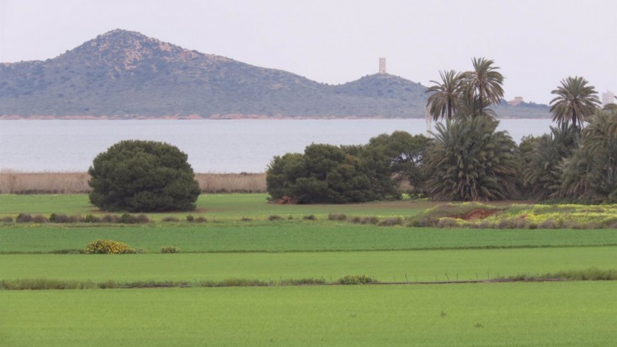Reconocen "sanciones diarias" a los agricultores por incumplir la ley del Mar Menor