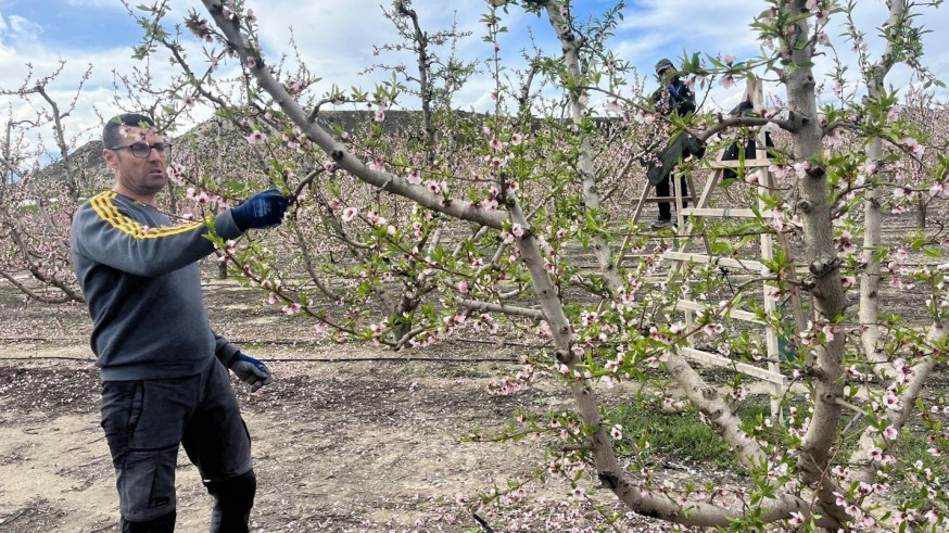 Miles de jornales perdidos tras diez días sin trabajo en el campo
