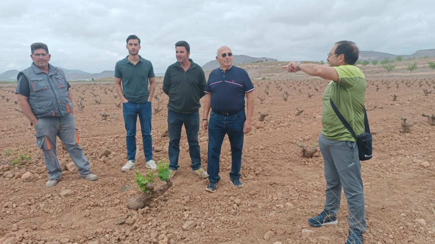 Los agricultores del Altiplano piden que los cultivos de secano sean declarados 'Zona Catastrófica'