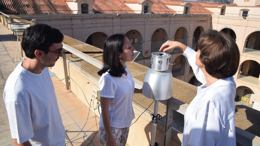 Innovando con la UPCT. La polinización se alarga en la Región y afecta más a los alérgicos