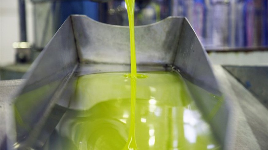 Producción de aceite de oliva