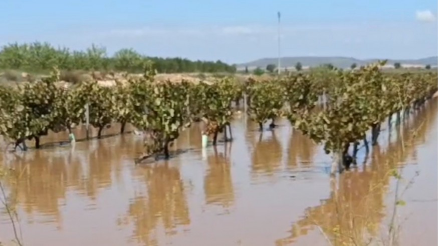 Abre al tráfico la carretera de Montealegre en Yecla