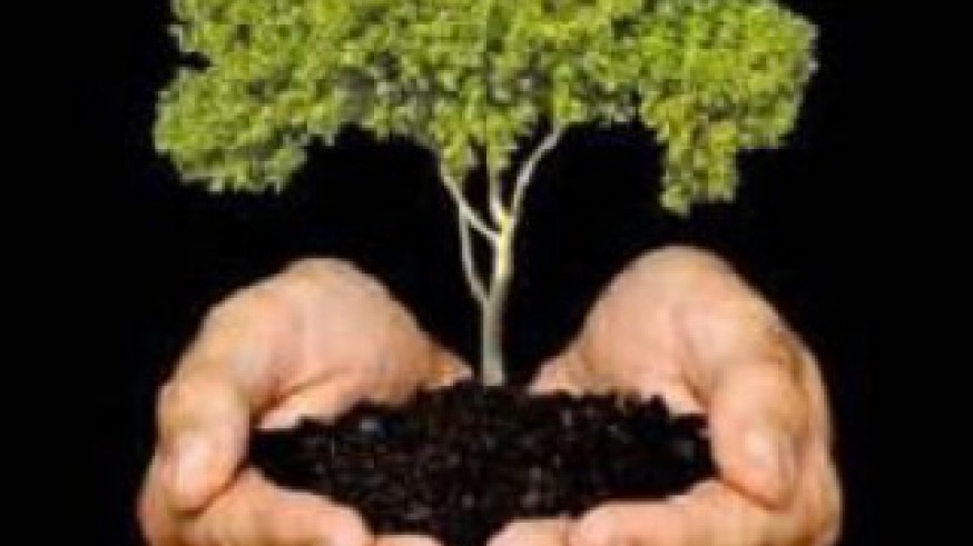 La Radio del Siglo: Seamos emprendedores. WECON PROJECT: Forestación, plantación y también marketing... para ayudar al medio ambiente