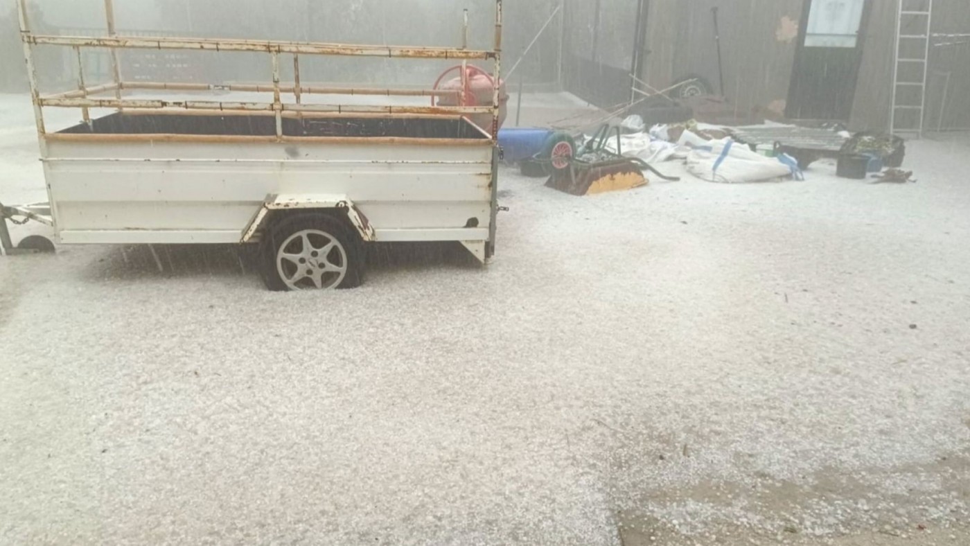 El temporal causa daños en unas 2.000 hectáreas de frutales