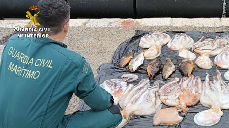 Sorprenden a un pescador con más capturas de pulpo de las permitidas