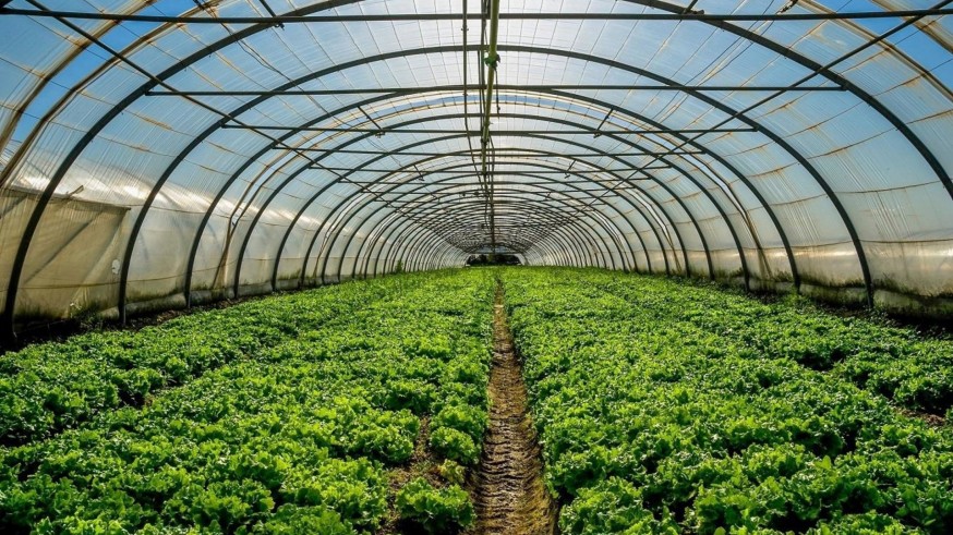 Detienen a empresarios agrícolas de Águilas y Mazarrón por tener a extranjeros sin contrato