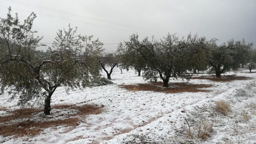 La nieve hizo acto de presencia en la comarca del Río Mula