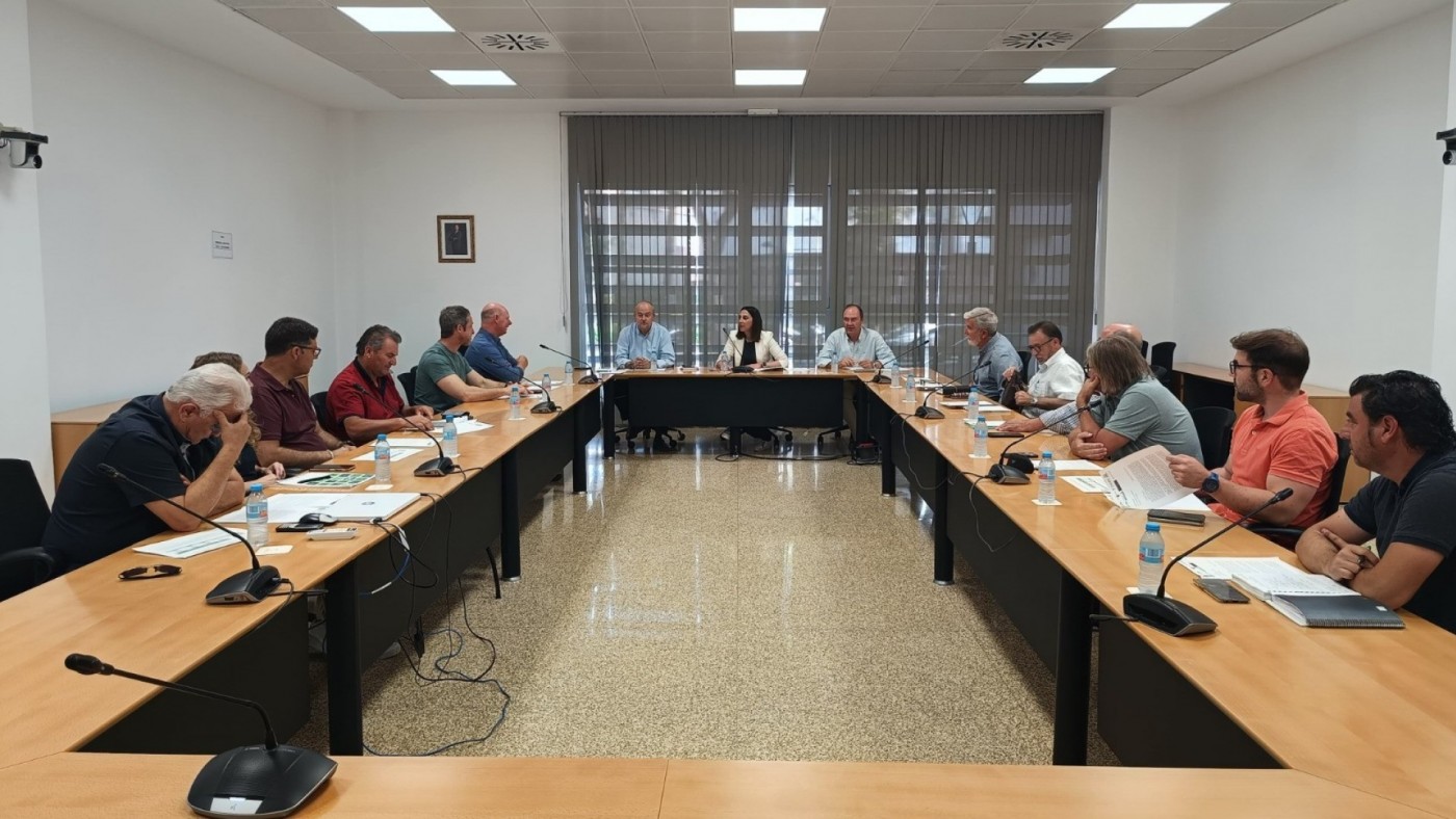 Gobierno regional y cooperativas agrarias piden ayudas directas por los daños provocados por el granizo 