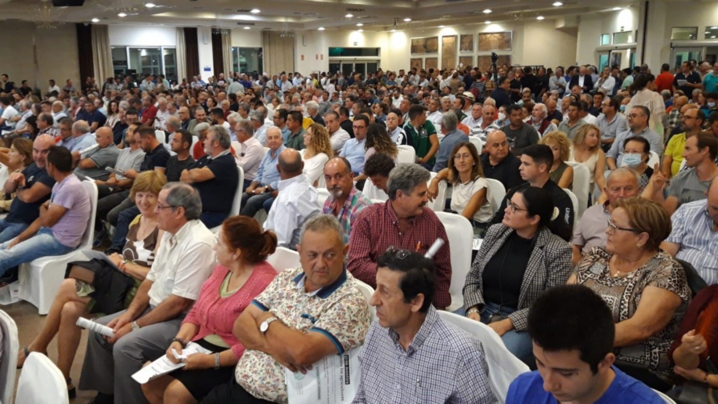 Empresarios agrícolas anuncian una demanda colectiva contra ley del Mar Menor