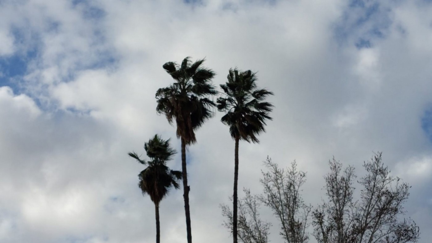 El viento seguirá azotando la Región de Murcia durante todo el fin de semana