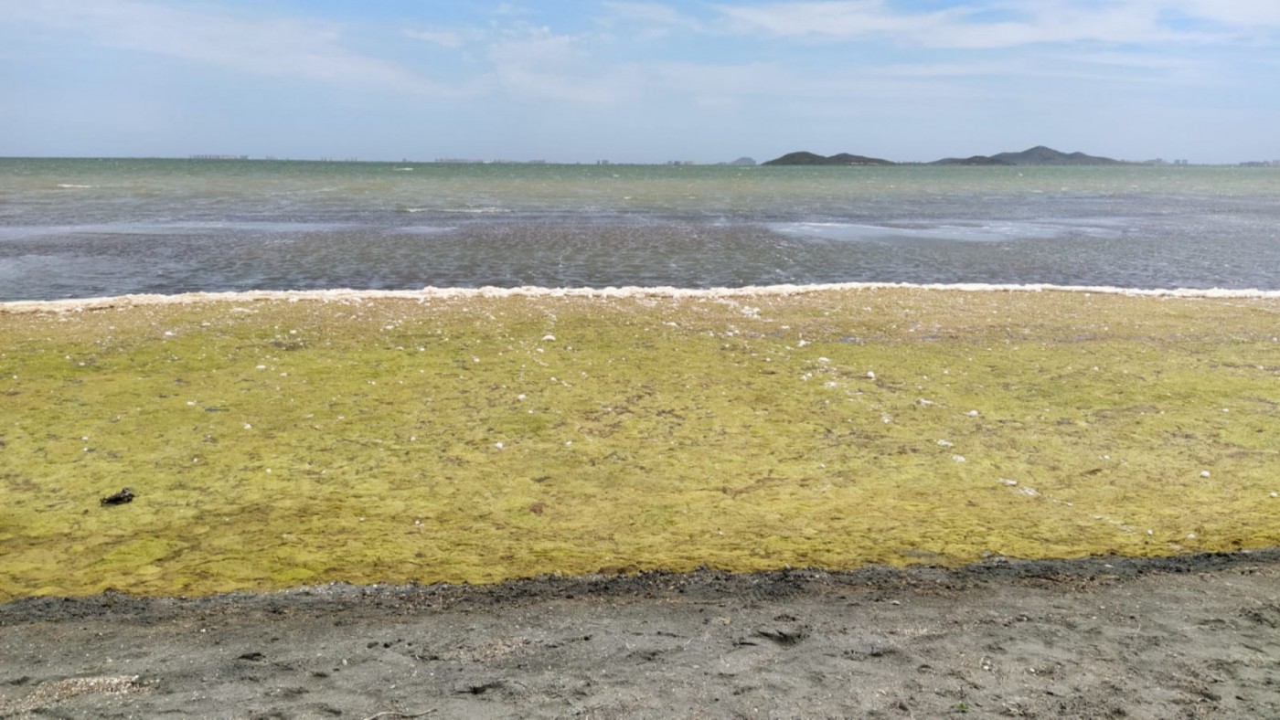Vecinos de Los Urrutias: 'El estado del Mar Menor es lamentable'