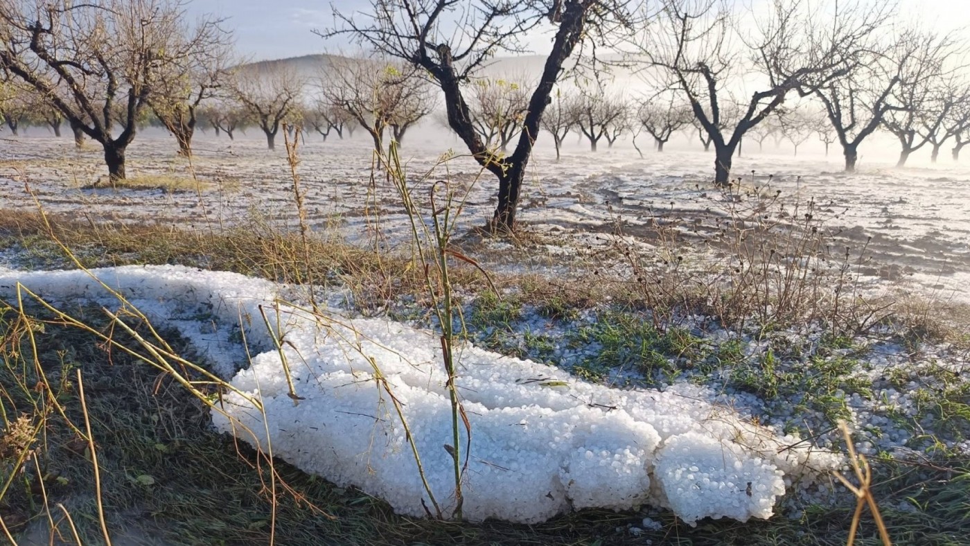 Una descarga de granizo afecta a los cultivos en la Región