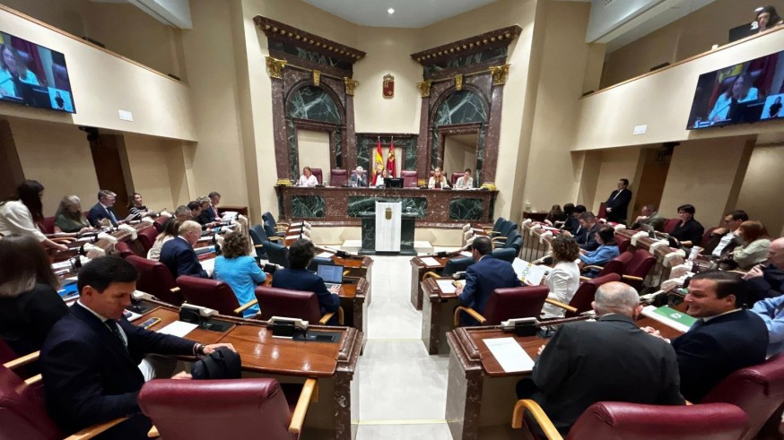 La Asamblea aprueba por unanimidad una ley para sancionar las agresiones al personal sanitario