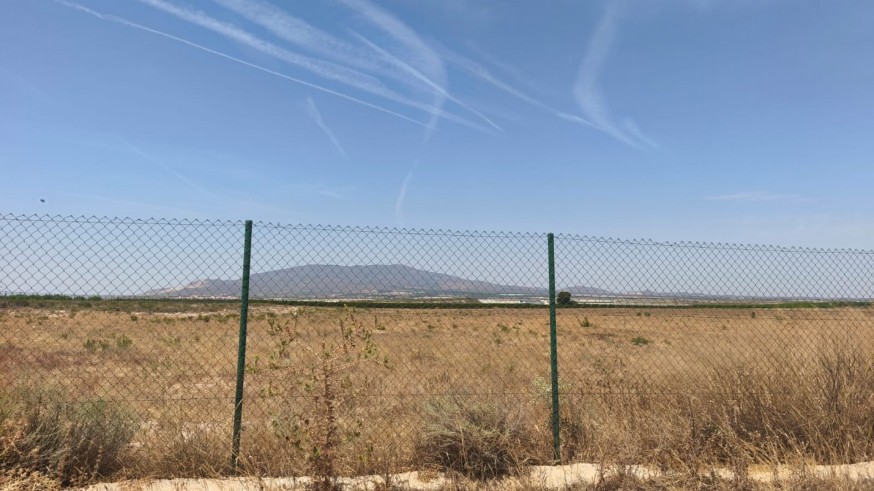 Denuncian la transformación ilegal a regadío de una finca en Mazarrón