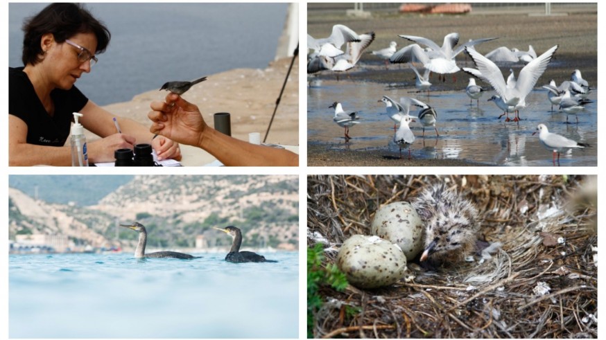 A bordo. El cuidado de la biodiversidad en el Puerto de Cartagena