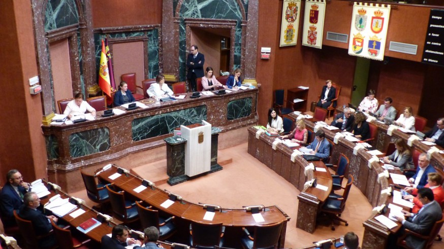 Pleno de la Asamblea Regional