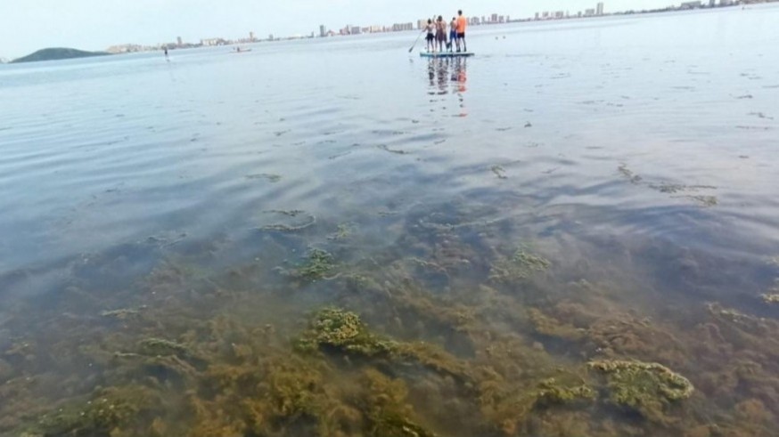 El Mar Menor recupera la salinidad según el consejero Vázquez