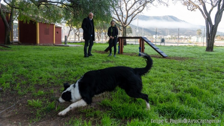 Animalicos, con Rosa Sánchez. Los parques caninos
