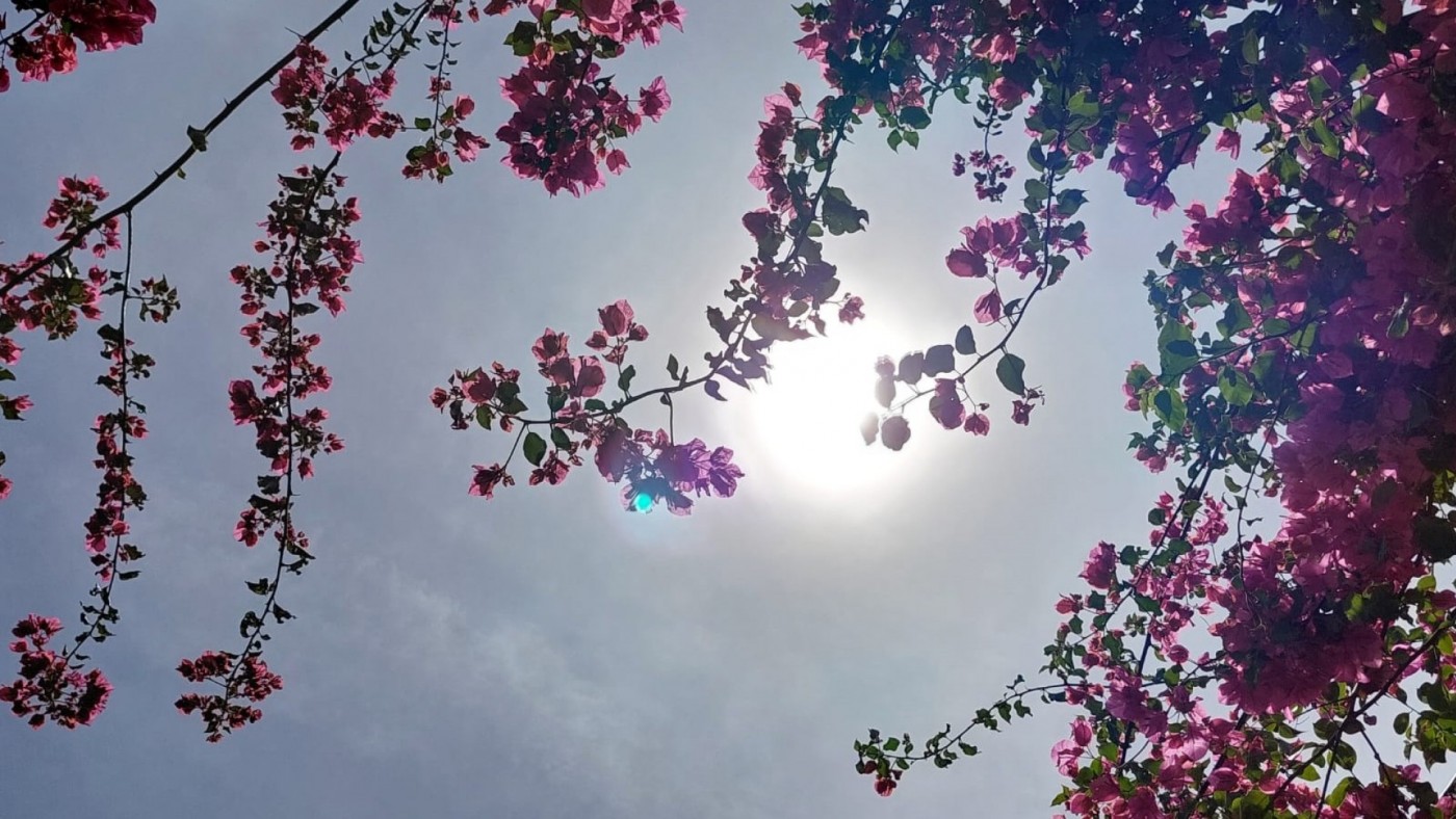 Activado el nivel 1 del Plan de Acciones Preventivas de los Efectos del Calor 