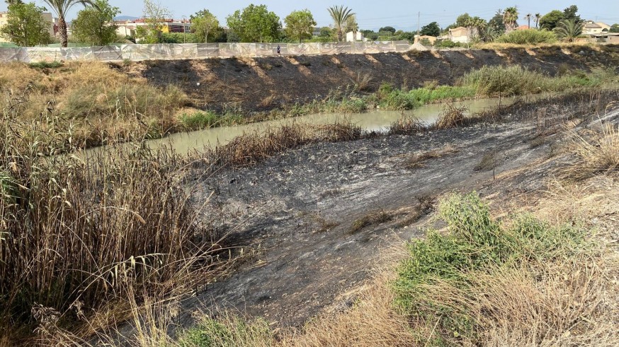 Extinguido el incendio de La Arboleja 