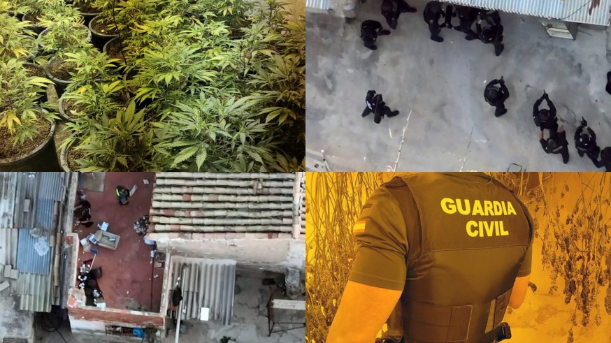 Desmantelan en Calasparra un grupo delictivo que cultivaba marihuana