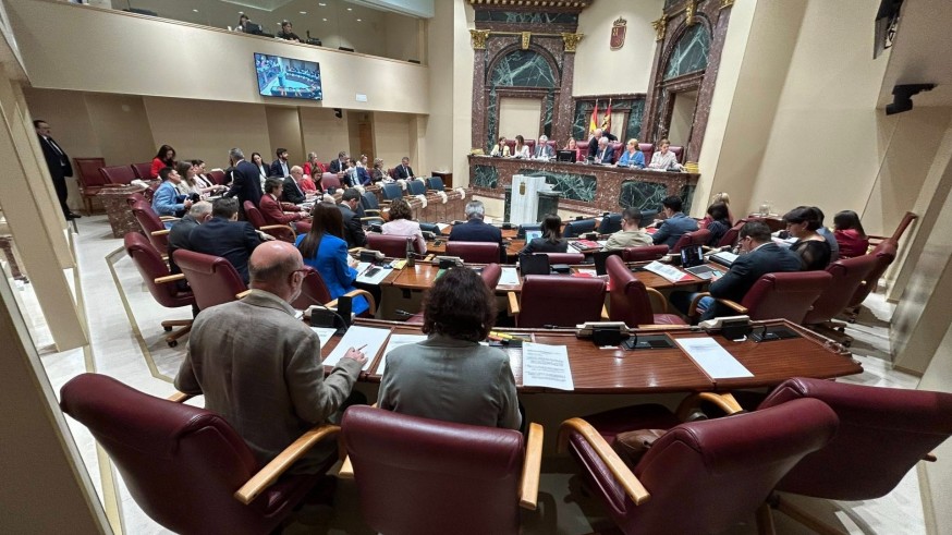 PSOE y Vox exigen en la Asamblea la construcción de una residencia en Molina