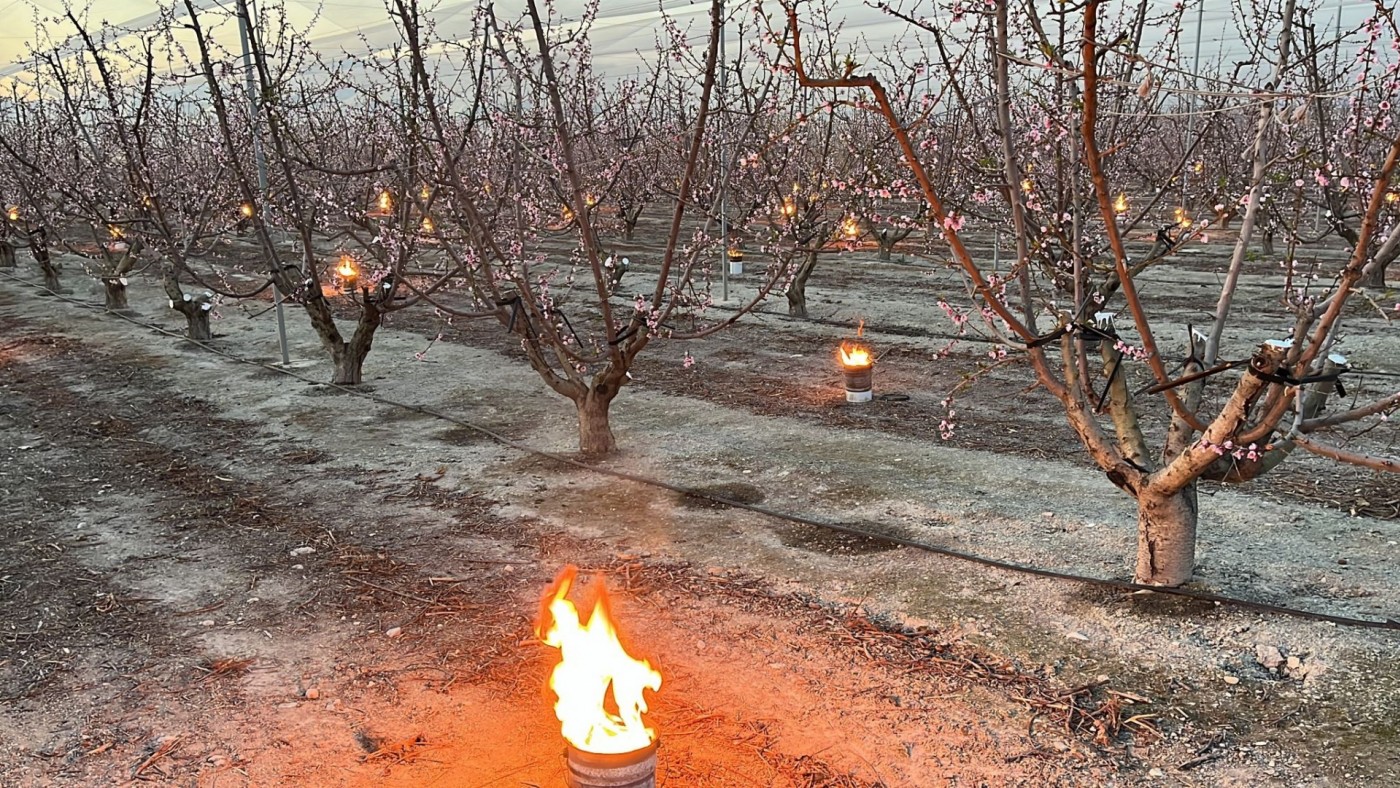 Velas bajo cero