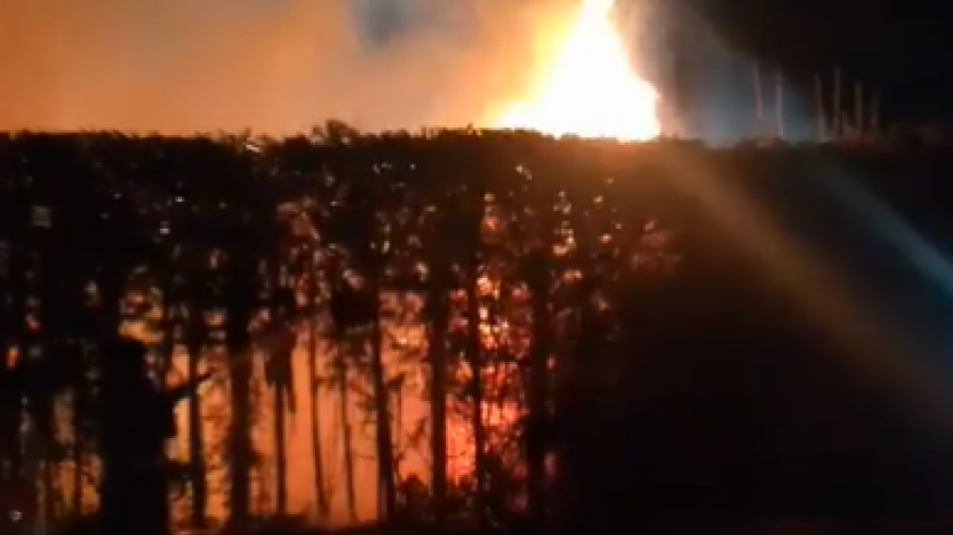 Arde la vegetación que rodea el polideportivo 'La Hoya' de Jumilla