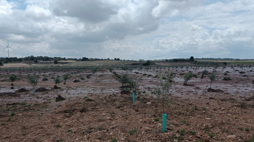 Los agricultores lamentan que las lluvias no hayan sido más cuantiosas en los pantanos de cabecera
