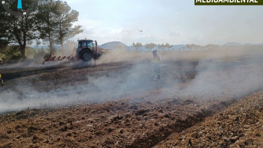 Tres conatos de incendios forestales en la Región durante el último domingo de junio
