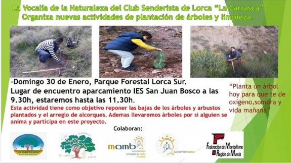 TARDE ABIERTA. 'La Carrasca' organiza una nueva limpieza de montes y plantación de árboles en Lorca