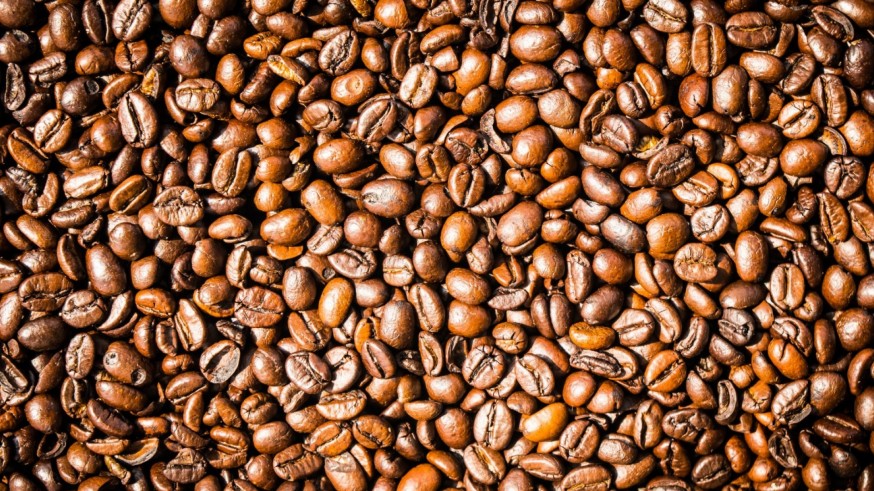 La magia de las plantas. El café