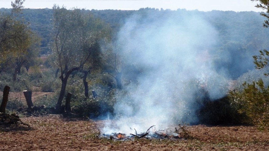 Los ayuntamientos tendrán la última palabra en la restricción de quemas agrícolas