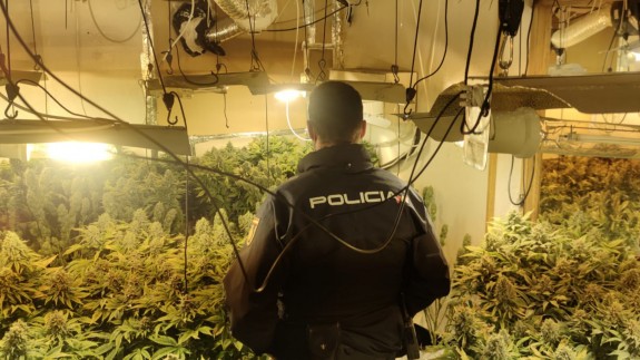 La Policía Nacional desmantela en Murcia un cultivo indoor de marihuana con 139 plantas