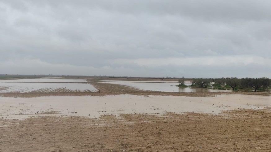 Las lluvias paralizan la actividad en el campo