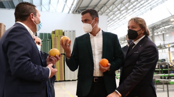 Sánchez visita la cooperativa Frutas y Cítricos de Mula